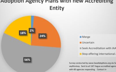 Only Half Of Agencies to Continue Offering International Adoption